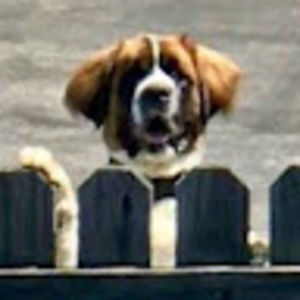 Meet your Posher, Leigh anne